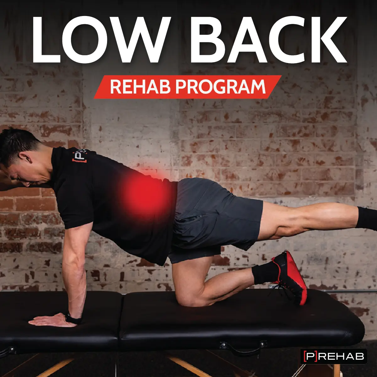 Low Back Rehab
