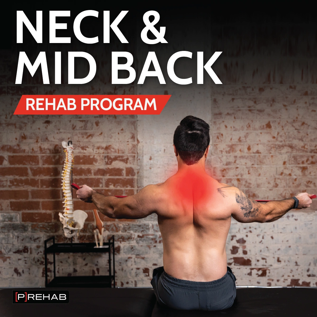Neck & Mid Back Rehab